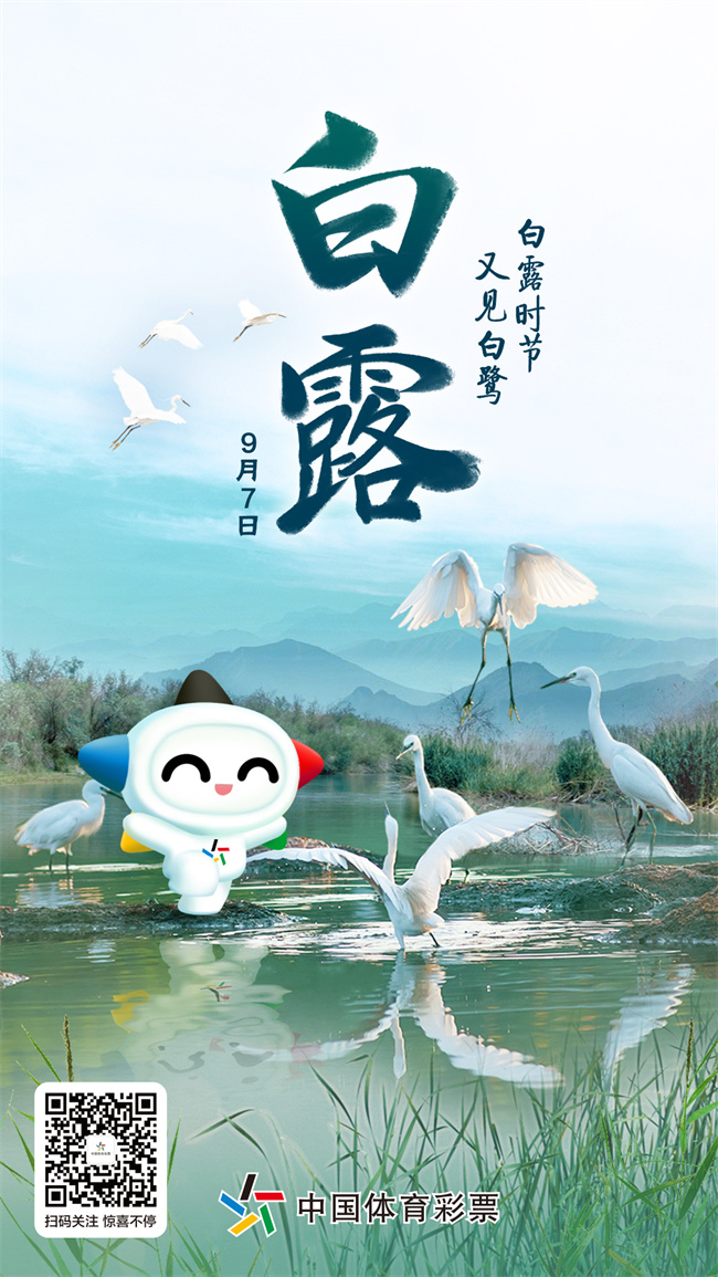 白鹭.jpg