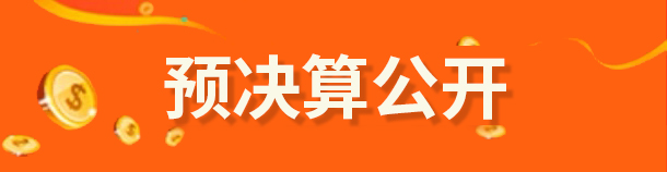 预决算信息