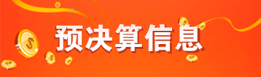 预决算信息